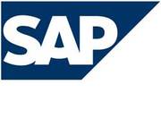 SAP FICO,  SAP HR,  SAP MM,  SAP SD,  SAP SECURITY,  SAP NETWEAVER,  SAP SCM