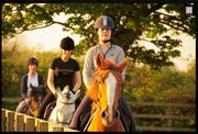 Find Quality Horse Riding Lessons in Kildare